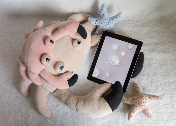 Plush Crab / Baby Gift image