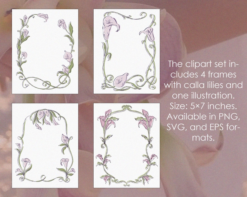 Hand Drawn Calla Lily Frames Clipart, Vintage Botanical Line Borders ...