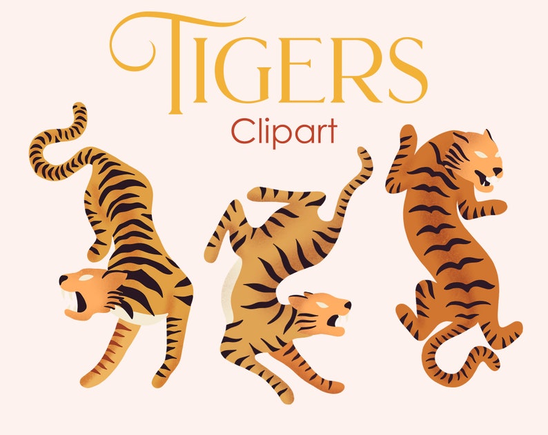 Tiger Clipart in PNG Files Tiger Print Art Chinese New Year - Etsy Ireland