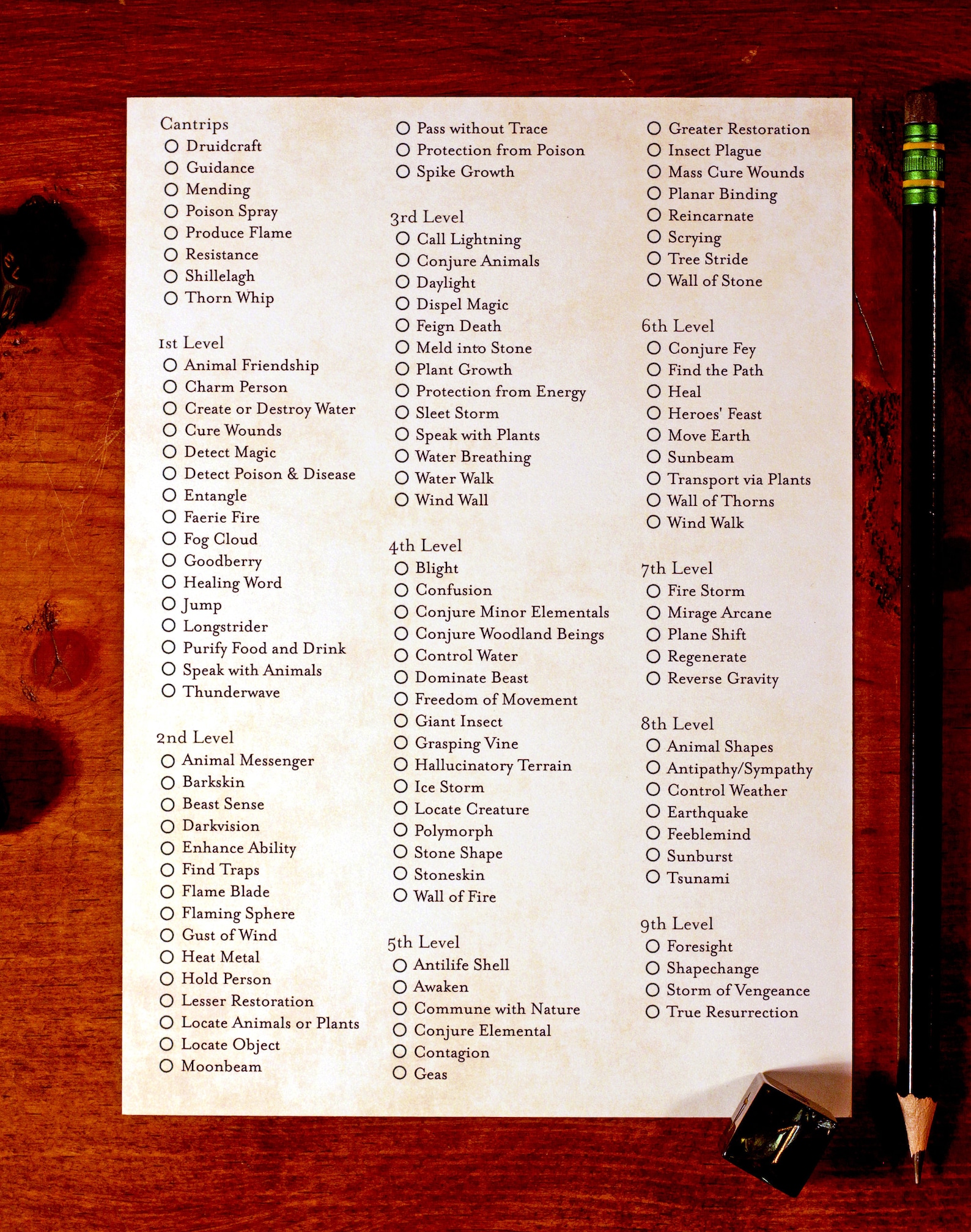 D D 5e Printable Companion Card Template