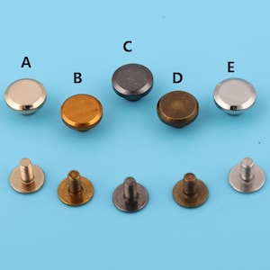 Puede incluir: Cinco remaches de tornillo de metal en varios acabados: plata, oro, negro, bronce y níquel. Cada remache tiene una cabeza plana redonda y un vástago roscado.