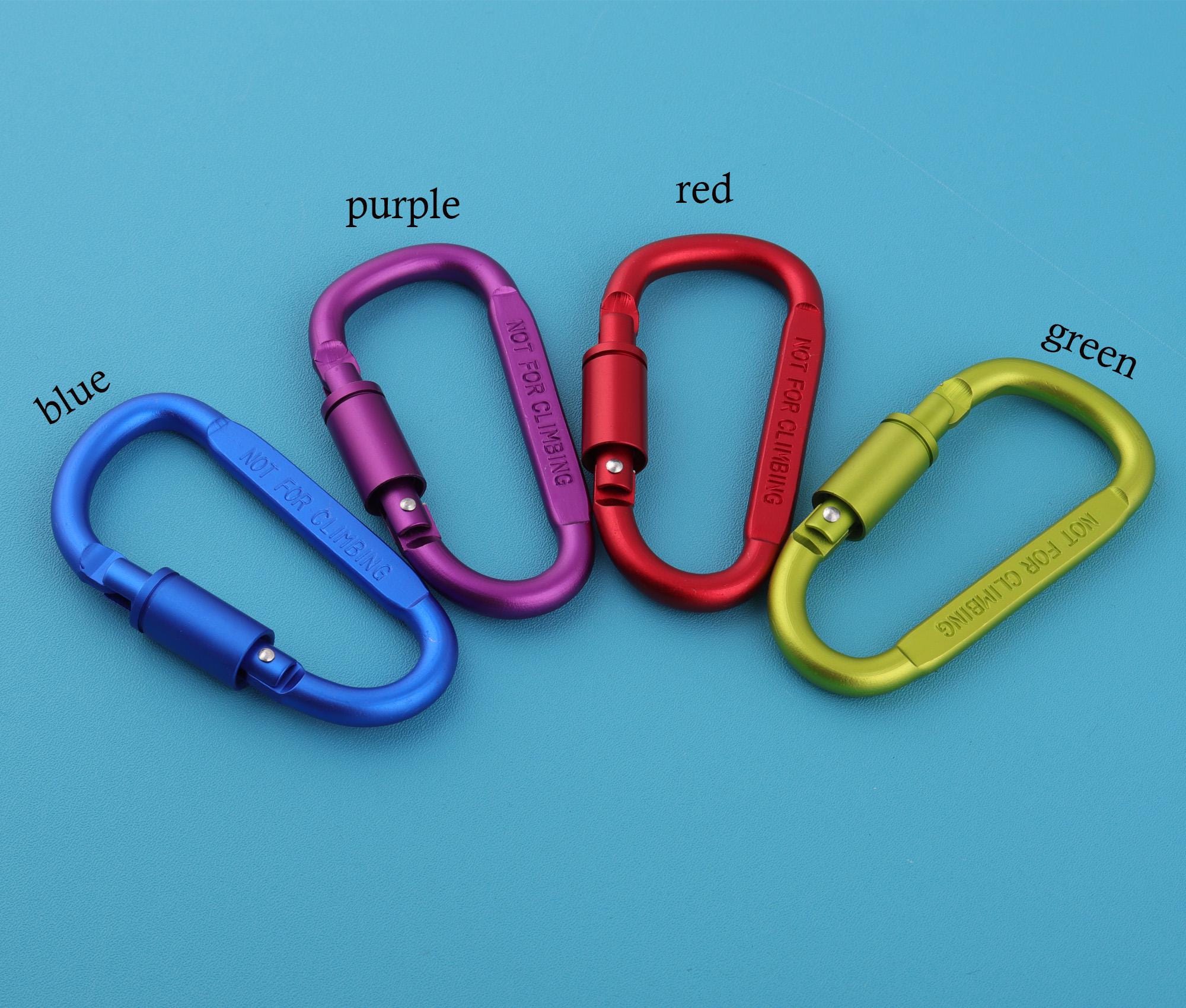 Engraved Carabiner Keychain Clip: NOT FOR CLIMBING - Safety