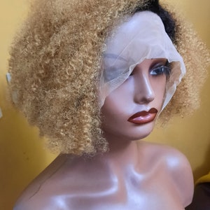 May include: A blonde and black afro wig on a mannequin head. The wig is styled in a short, curly afro with a side part. The wig is on a mannequin head with a white mesh cap.