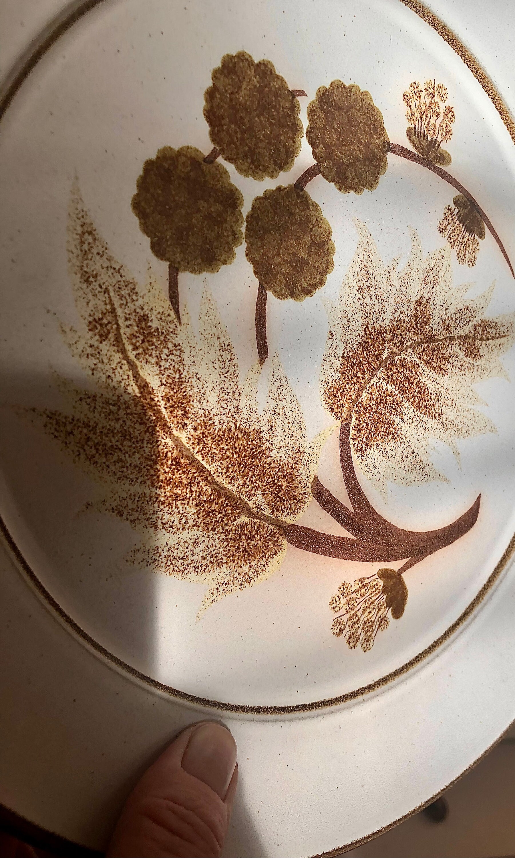 Set of 6 Retro Rustic Style Denby Dinner Plates cotswold Pattern