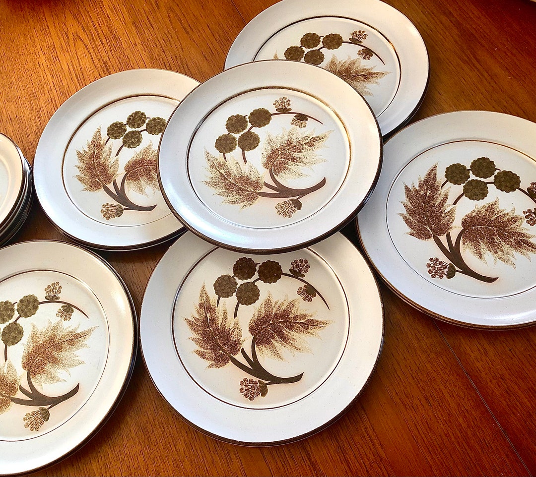 Set of 6 Retro Rustic Style Denby Dinner Plates cotswold Pattern