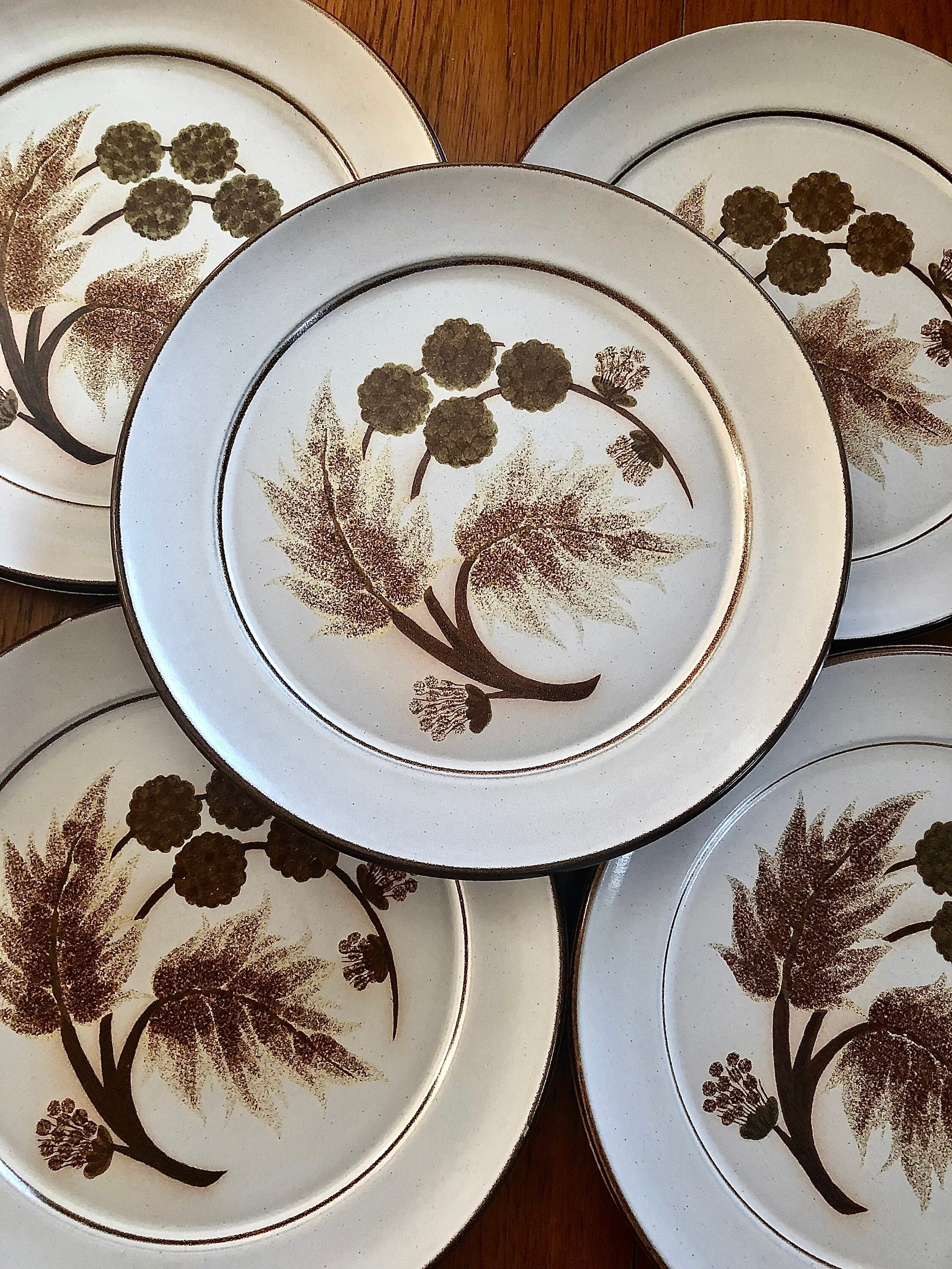 Set of 6 Retro Rustic Style Denby Dinner Plates cotswold Pattern