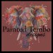 PaintedTemboDesigns