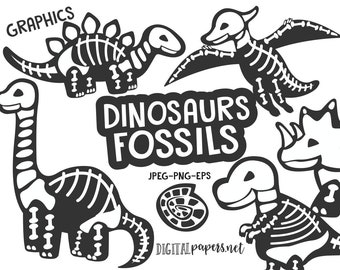 Dinosaur Fossil Clipart: Skeleton Graphics, EPS, PNG, JPEG (Digital Download)