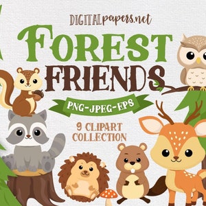 Woodland Animals Clipart, Forest Clipart, Deer, Owl, Squirrell,Racoon, Pine Tree, PNG Clipart, EPS Vector, Commercial Use, Instant Download