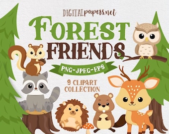 Woodland Animals Clipart, Forest Clipart, Deer, Owl, Squirrell,Racoon, Pine Tree, PNG Clipart, EPS Vector, Commercial Use, Instant Download