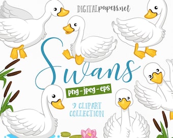 Swan Clipart, Vector Clipart, Baby Swan Clip art, EPS File, PNG Clipart, Bird Clipart, Lake Clipart, Commercial Use, Instant Download