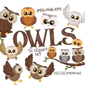 May include: A set of 12 cartoon owl clipart images in various poses and colors. The owls are brown, orange, gray, and white. The text "OWLS 12 clipart set" is in brown with a distressed texture. The text "DIGITAL papers.net" is in black.