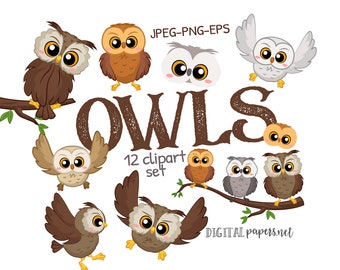 Owl Clipart, Animal Clipart, Hoot Owl Clipart, Owl Graphics, Magic Clipart, Commercial Use, Instant Download