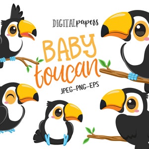 Imágenes Prediseñadas de tucán bebé, imágenes prediseñadas de aves, imágenes prediseñadas de tucán, Tropical, verano, pájaro lindo, comercial, descarga instantánea
