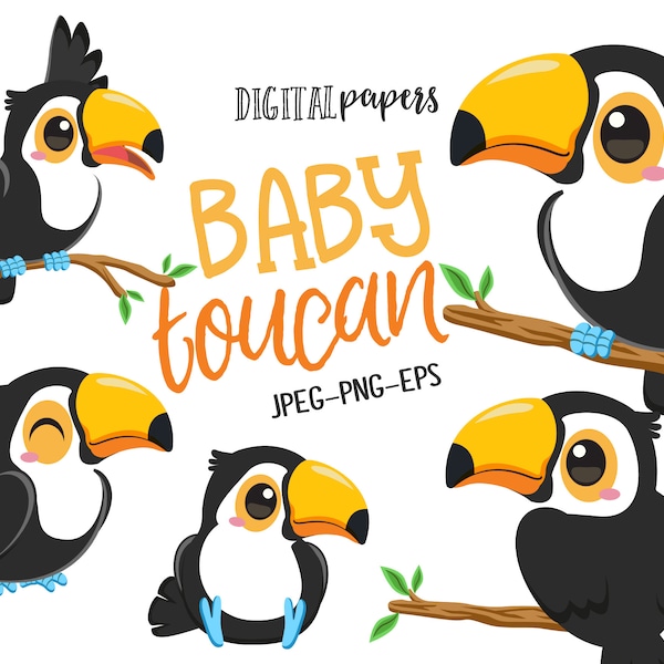 Baby Toucan Clipart, Bird Clipart, Toucan Clipart, Tropical, Summer, Cute Bird, Commercial, INSTANT DOWNLOAD