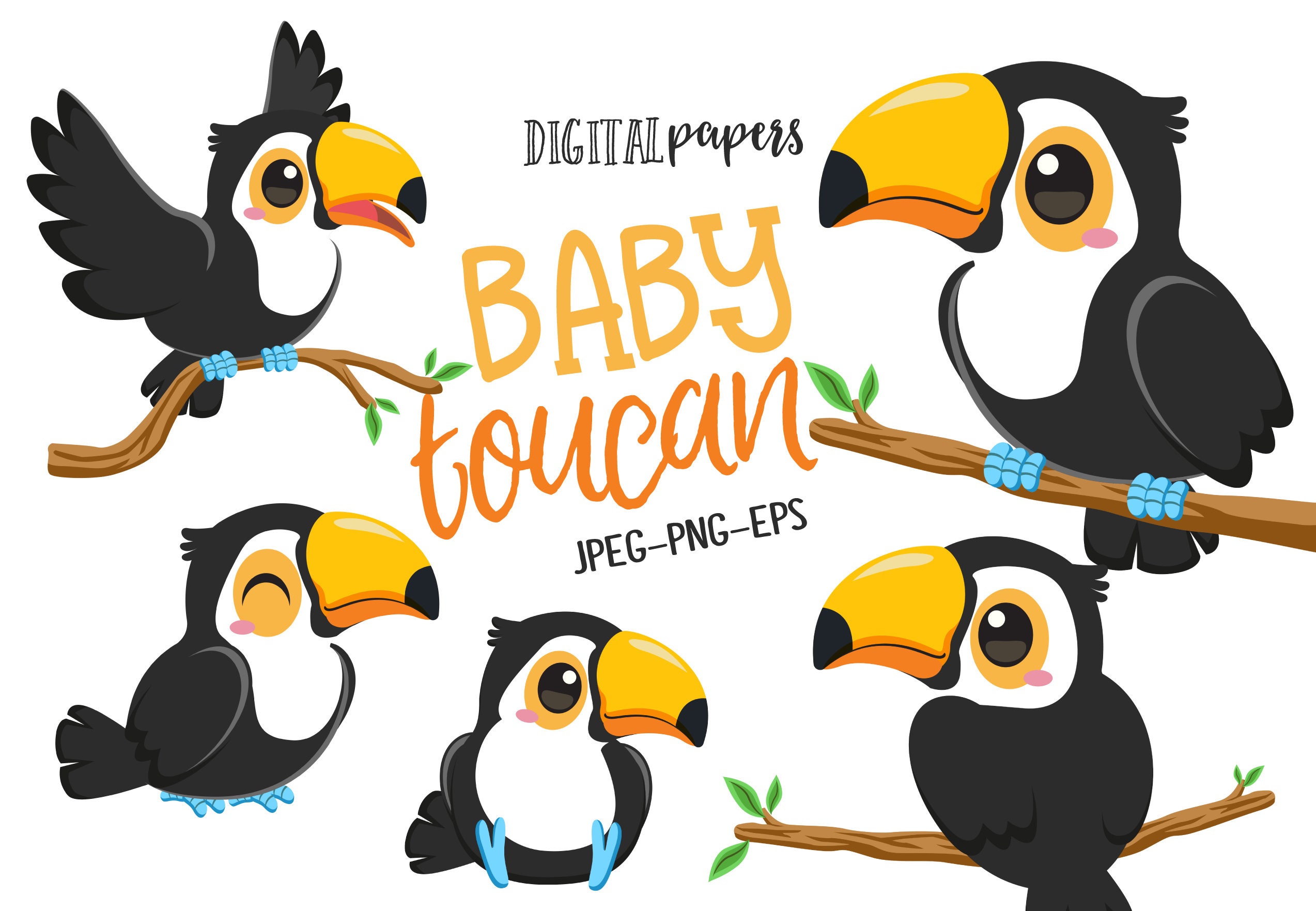 Baby Toucan Clipart, Bird Clipart, Toucan Clipart, Tropical, Summer, Cute Bird, Commercial, INSTANT DOWNLOAD