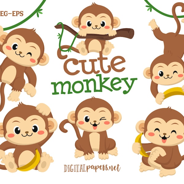 Monkey Clipart, Jungle Clipart, Clipart Zoo, Baby Monkey Clip art, Download istantaneo, COMMERCIALE, DOWNLOAD IMMEDIATO