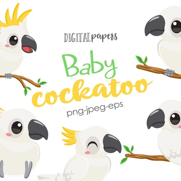 Baby Cockatoo Clipart, Bird Clipart, Cockatoo Clipart, Tropical, Summer, Cute Bird, Commercial, INSTANT DOWNLOAD
