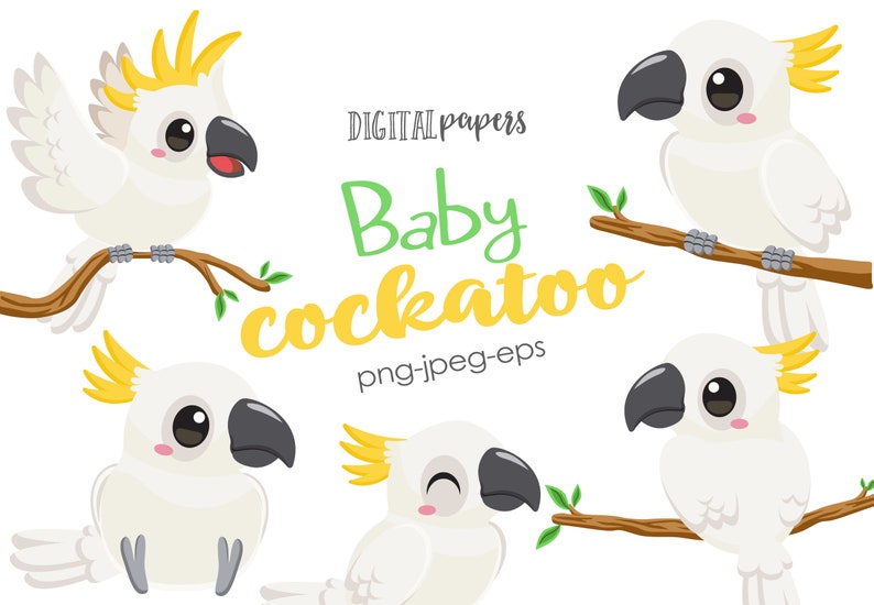 Baby Cockatoo Clipart, Bird Clipart, Cockatoo Clipart, Tropical, Summer, Cute Bird, Commercial, INSTANT DOWNLOAD image 1