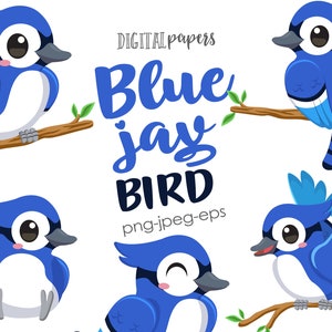 Imágenes Prediseñadas de pájaro azul Jay, imágenes prediseñadas de pájaro, imágenes prediseñadas de pájaro azul, pájaro americano, pájaro lindo, comercial, descarga instantánea