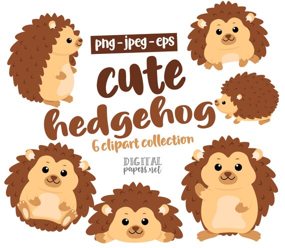 Hedgehog Clipart, Woodland Animals, Fall Graphics, Woodland Clipart, Forest Clipart, Winter Graphics, Commercial Use, Instant Download