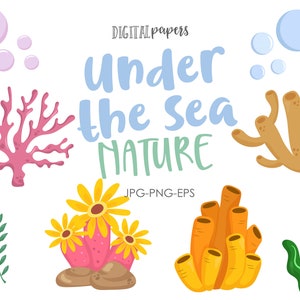 Under the Sea Clipart, Seaweed, Sea weed Clipart, Ocean Plants, Clipart, Mermaid, Ocean, Underwater Flora, Commercial, INSTANT DOWNLOAD