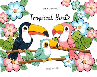 Tropical Birds Clipart, Bird PNG, Summer Clipart, Toucan Clipart, Toucan Family PNG, Commercial Use, Instant Download