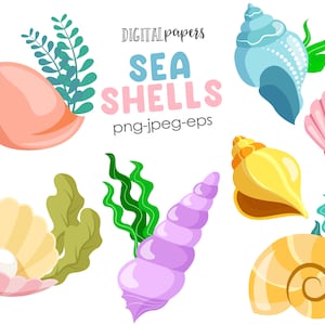 Clipart z muszlą morską, Clipart z muszlą morską, Cilpart na plaży, Clipart z latem, png, jpg, wektor, Komercyjny, NATYCHMIASTOWE POBIERANIE