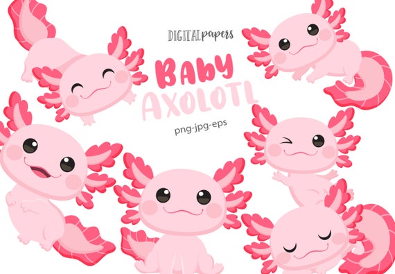 Axolotl Clipart, Baby Axolotl, Mexican Clipart, Cute animal clipart, Sticker Vector, Commercial, INSTANT DOWNLOAD