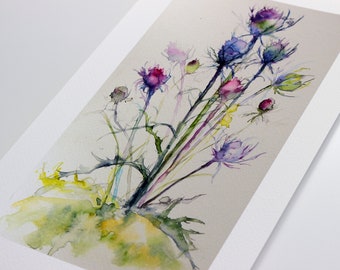 Thistle watercolor art print, scottish scotland art decor and gift, botanical thistle decor