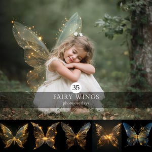 Fairy Wings Photo Overlays, Butterfly, Maternity Photography (Digital Download)
