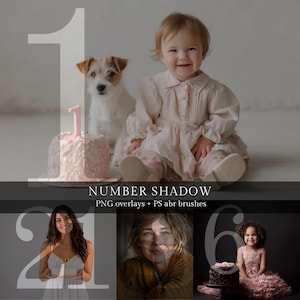 May include: A digital art image featuring a baby, a dog, and a cake. The baby is wearing a pink dress and smiling. The dog is a Jack Russell Terrier. The cake has a pink number one candle. The image also includes the text "NUMBER SHADOW".