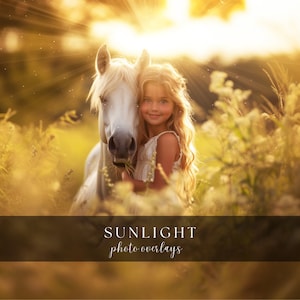 Sunlight Photo Overlays: Golden Hour Effects (Digital Download)