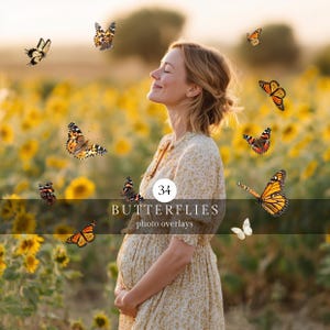 Superposiciones fotográficas PNG de mariposa monarca, mariposas volando para fotografía compuesta, fondo de verano para maternidad