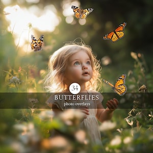 MONARCH BUTTERFLIES PNG Photo Overlays for Composite Photography Spring Summer Photo Editing Backdrop Overlay Flying Butterflies Clipart