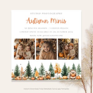 Autumn Mini Session Template: Woodland Animals Canva Marketing Board (Digital Download)