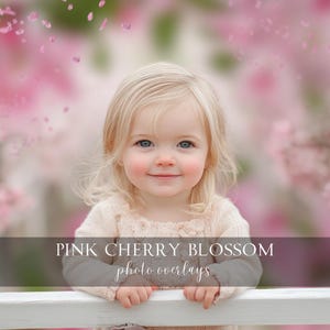 Pink Blossom Photoshop Overlays Spring Floral Frames FREE Digital Backdrops Photography Composite Overlays BUNDLE Blurred Floral Branch