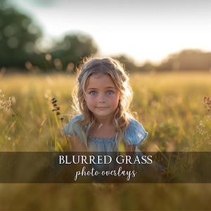 Blurred Grass Photo Overlays: Summer Photography Backdrops (PNG Digital Download)