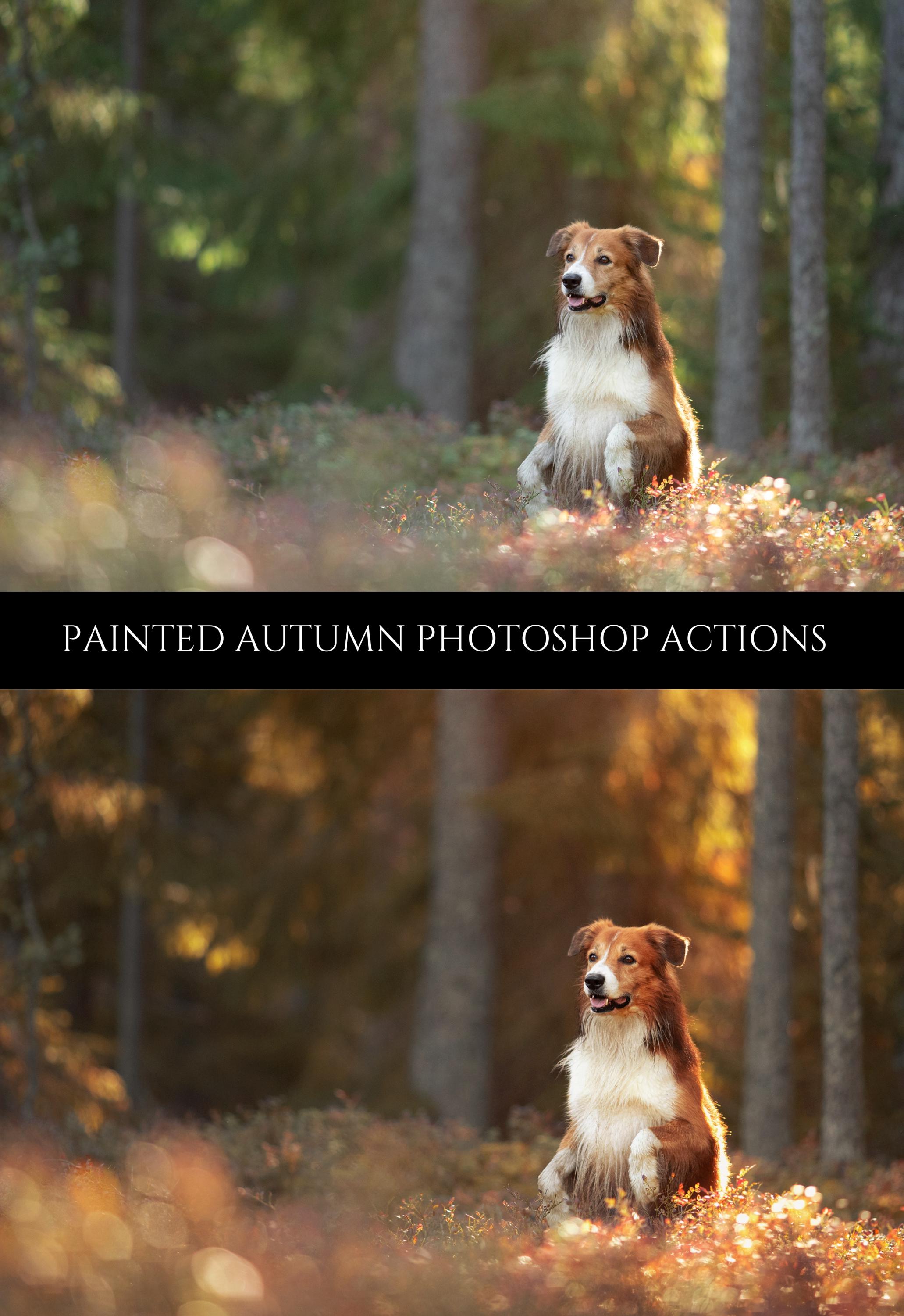 Painted Autumn Photoshop Actions Warm Photo Effect Photo Retouching ...