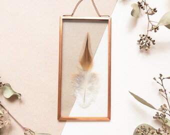 Framed Pressed Feather, Feather Framed, Floating Feather Art Wall Hanging, Herbarium, Floating Frame, One-of-a-kind Home Decor, Shower Gift