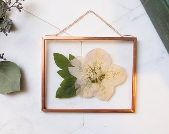 Real Framed Flowers, Pressed Flower Frame, Preserved Botanical Art, Wall Hanging, Floating Frame, Gift under 30, Hellebore, Mother Day Gift