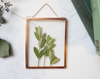 Framed Pressed Flowers, Real Plant Wall Hanging, Pressed Flower Frame, Herbarium, Floating Frame, Preserved Botanical Art, Olive Branch