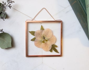 Framed Pressed Flowers, Pressed Flower Frame, Preserved Botanical Art, Real Plant Wall Hanging, Herbarium, Floating Frame, Gift under 25