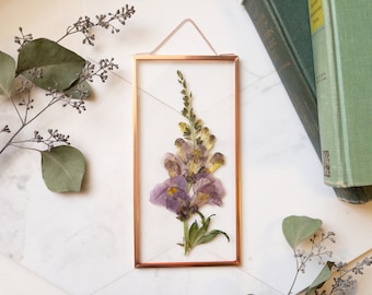 Pressed Flower Floating Frame, Framed Pressed Flowers, Real Plant Wall Hanging, Preserved Botanical Art, Unique Gift, Snapdragon