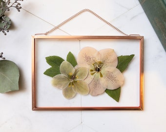 Real Framed Flowers, Pressed Flower Frame, Preserved Botanical Art, Wall Hanging, Floating Frame, Gift under 30, Hellebore, Mother Day Gift