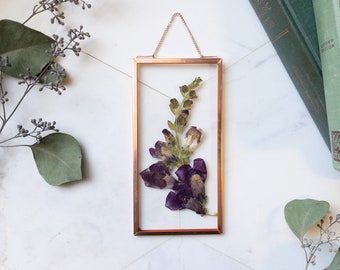 Pressed Flower Floating Frame, Framed Pressed Flowers, Real Plant Wall Hanging, Preserved Botanical Art, Dragon Flowers, Snapdragon