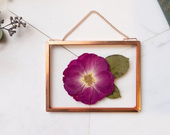 Framed Pressed Flower Frame, Herbarium, Preserved Botanical Art, Real Flowers Plant Wall Hanging, Floating Metal, Rose, June Birthday