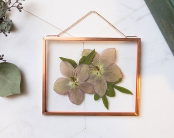 Framed Pressed Flowers, Real Plant Wall Hanging, Pressed Flower Frame, Herbarium, Floating, Botanical Art, Hellebore, Gift for Mother