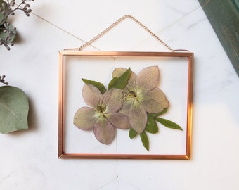 Framed Pressed Flowers, Real Plant Wall Hanging, Pressed Flower Frame, Herbarium, Floating Frame, Preserved Botanical Art, Hellebore