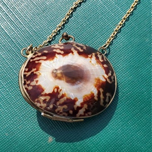 May include: A gold chain necklace with a brown and white seashell pendant. The seashell has a natural pattern and is oval shaped.